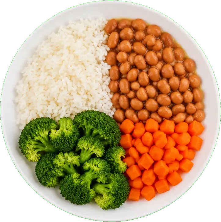 Prato brasileiro com arroz e feijão